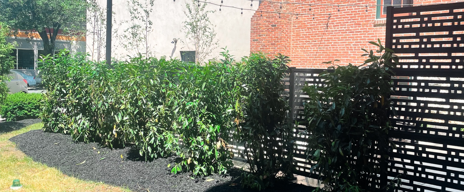 425 N. Prince St, Lancaster, PA 17603, 1 Bedroom Bedrooms, ,1 BathroomBathrooms,Residential Rental,For Rent,Swisher,N. Prince St,108,1098