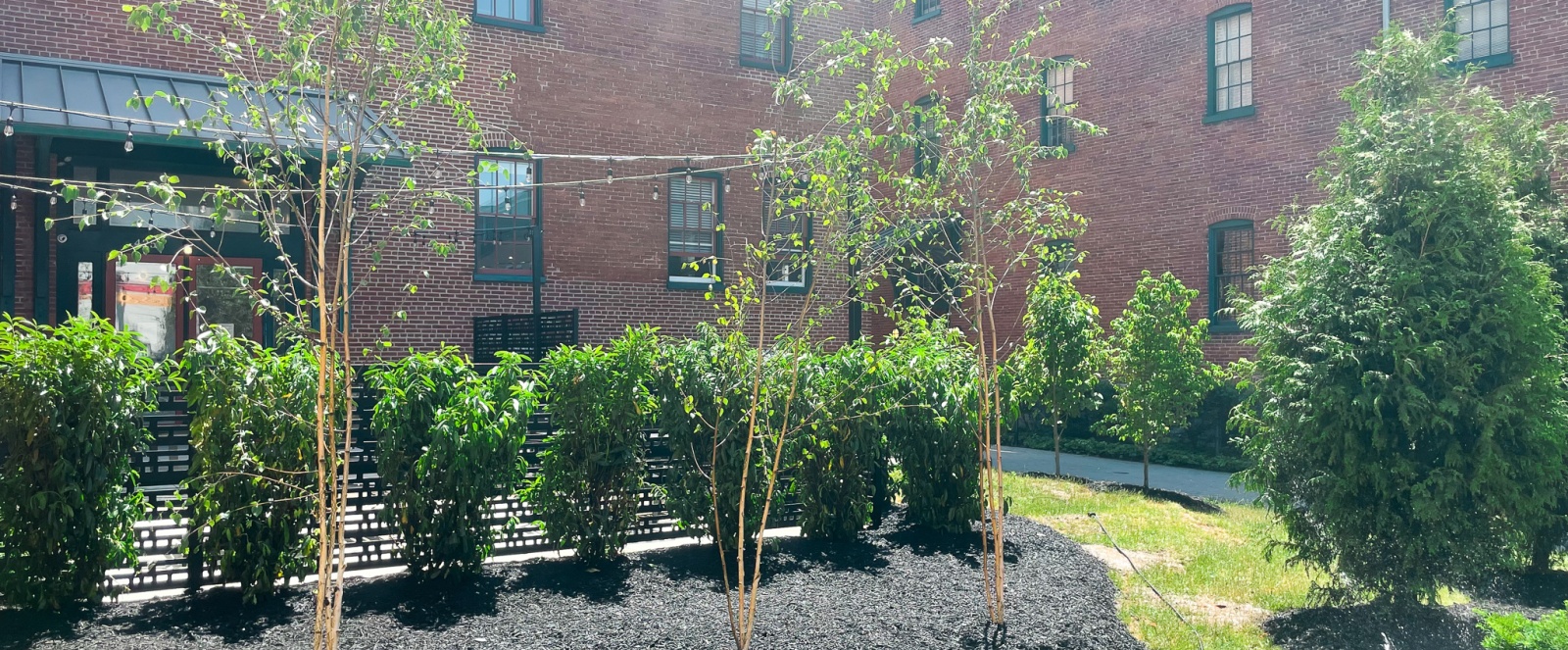 425 N. Prince St, Lancaster, PA 17603, 1 Bedroom Bedrooms, ,1 BathroomBathrooms,Residential Rental,For Rent,Swisher,N. Prince St,108,1098